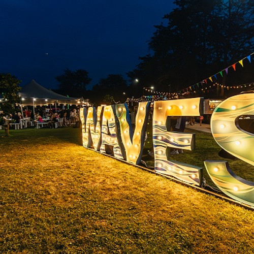 Waves Festival 2025: Bilete limitate disponibile pentru un festival emblematic