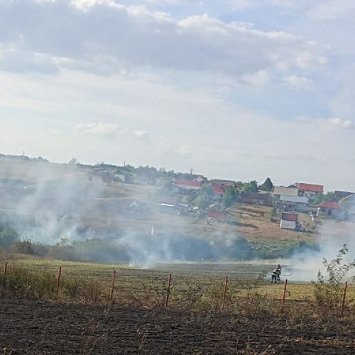 Incendiu de vegetație în localitatea Viile Satu Mare