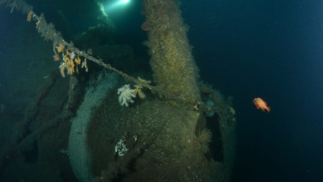 Epava unei nave de război din 1914, descoperită în largul Scoției