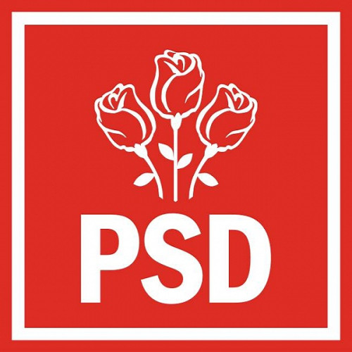 PSD Satu Mare promite să fie o voce puternică în Parlamentul României