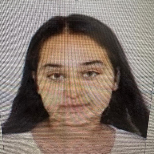 Polițiștii din Satu Mare caută o minoră dispărută