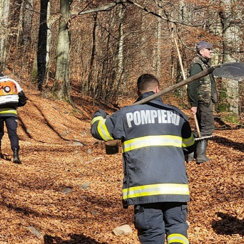 Incendiu de vegetație la Huta Certeze, intervenție dificilă din partea pompierilor