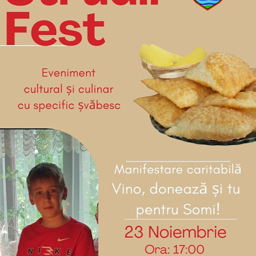 Strudli Fest, un eveniment caritabil la Satu Mare