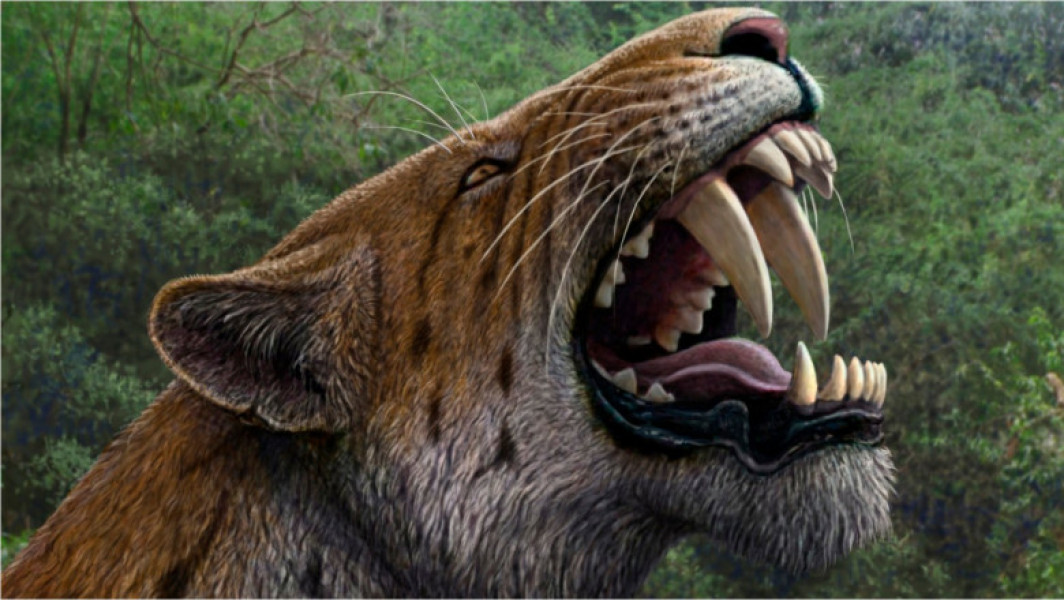 O felină preistorică descoperită în permafrostul siberian