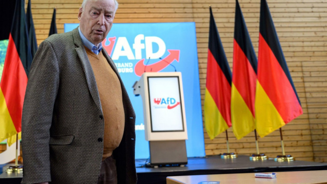 Programul electoral al AfD preconizează măsuri radicale pentru Germania