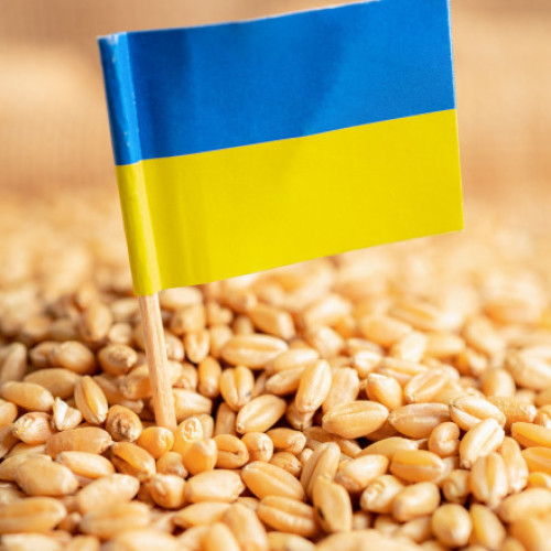 Ucraina începe livrarea ajutoare alimentare în Siria