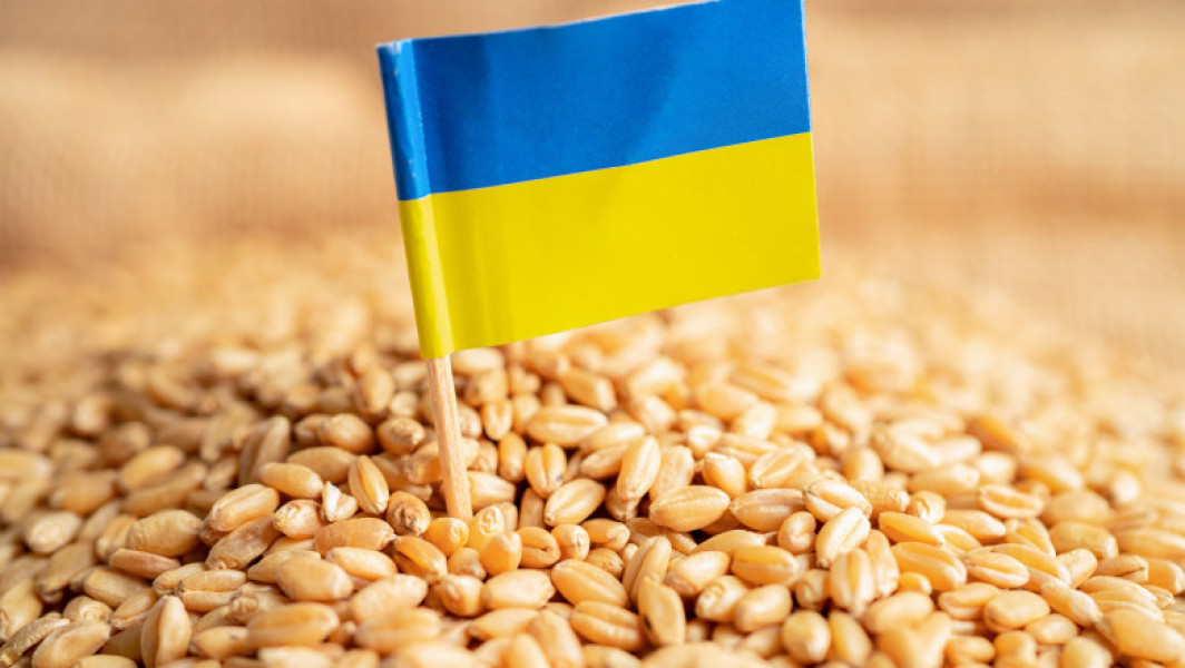 Ucraina începe livrarea ajutoare alimentare în Siria