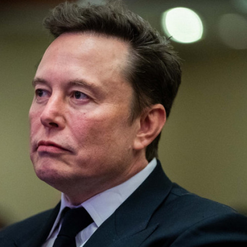 Elon Musk îndeamnă germanii să voteze pentru AfD, provocând controverse