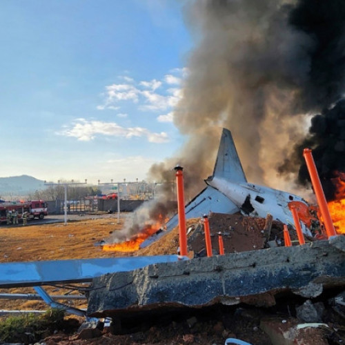 Accidentul aviatic fatal în Coreea de Sud, cauzat de coliziunea cu o pasăre