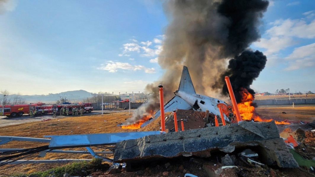 Accidentul aviatic fatal în Coreea de Sud, cauzat de coliziunea cu o pasăre