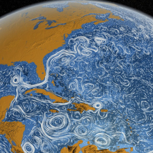 Cochiliile scoicilor, cheia pentru înțelegerea curenților oceanici din Atlantic