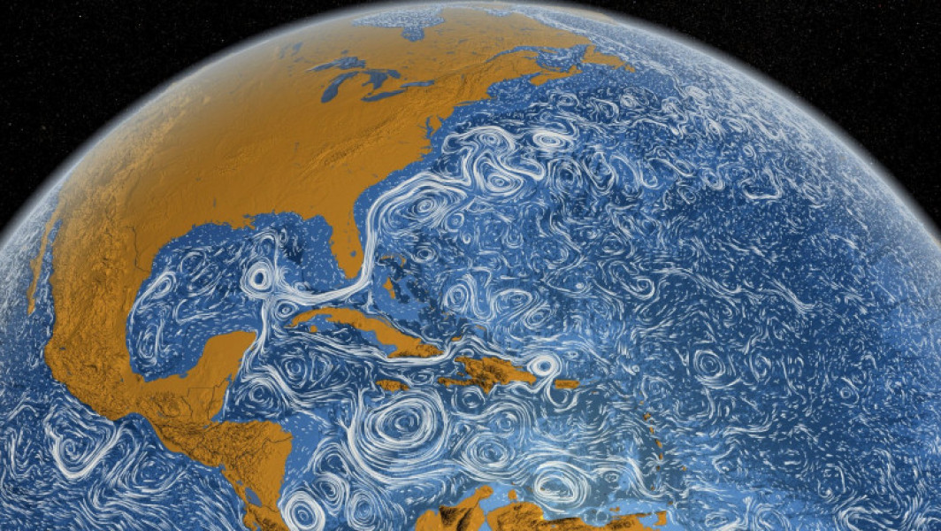 Cochiliile scoicilor, cheia pentru înțelegerea curenților oceanici din Atlantic