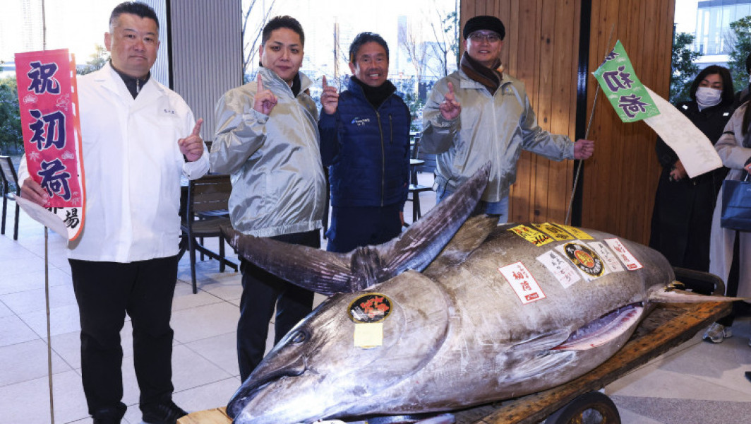 Un ton roșu a fost vândut cu aproape 1,3 milioane de euro în Japonia
