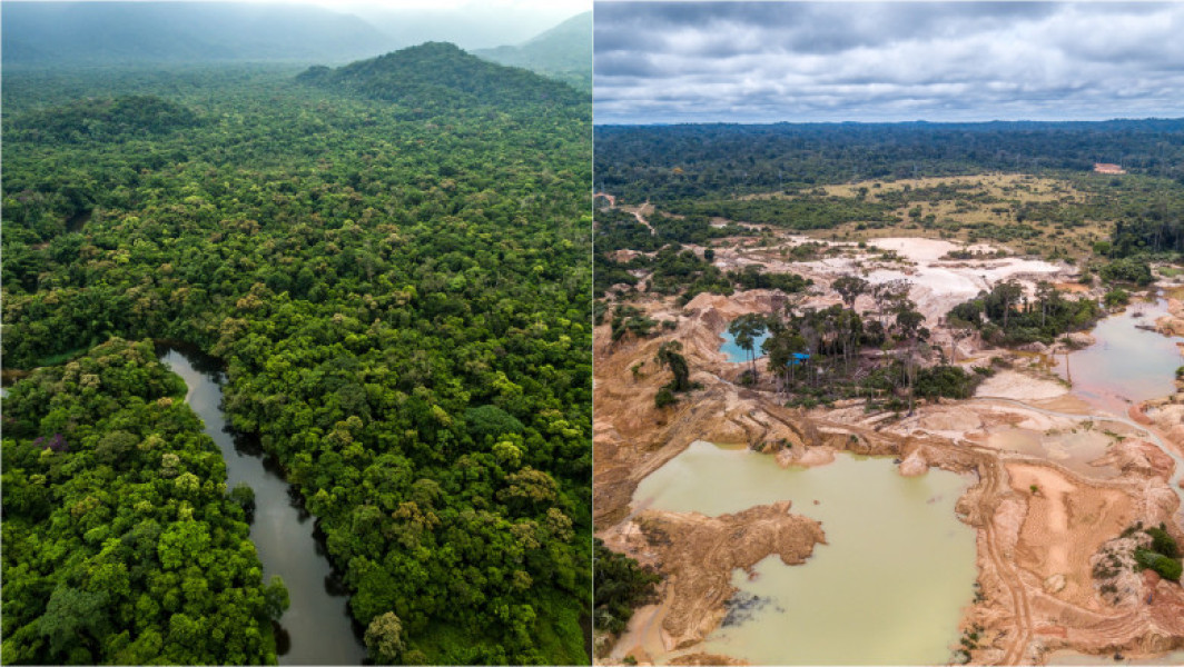 Alianțe criminale devastează pădurile Amazonului la granița dintre Peru, Columbia și Brazilia