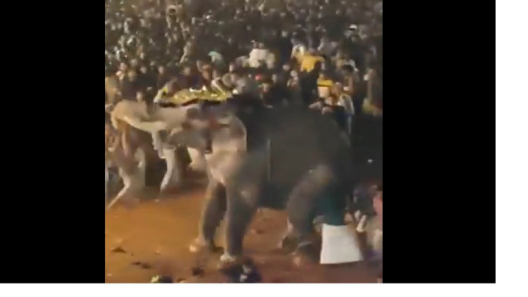 Elefant violent rănește peste 20 de persoane la un festival din Kerala