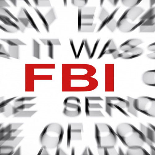 Fost informator al FBI, condamnat la șase ani de închisoare pentru falsuri legate de Joe Biden