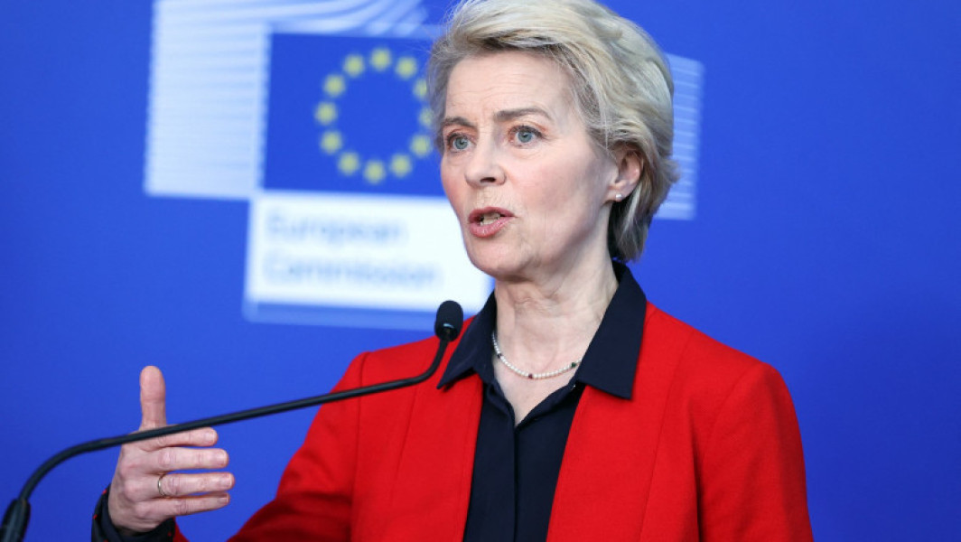 Plângeri inadmisibile împotriva șefei Comisiei Europene, Ursula von der Leyen