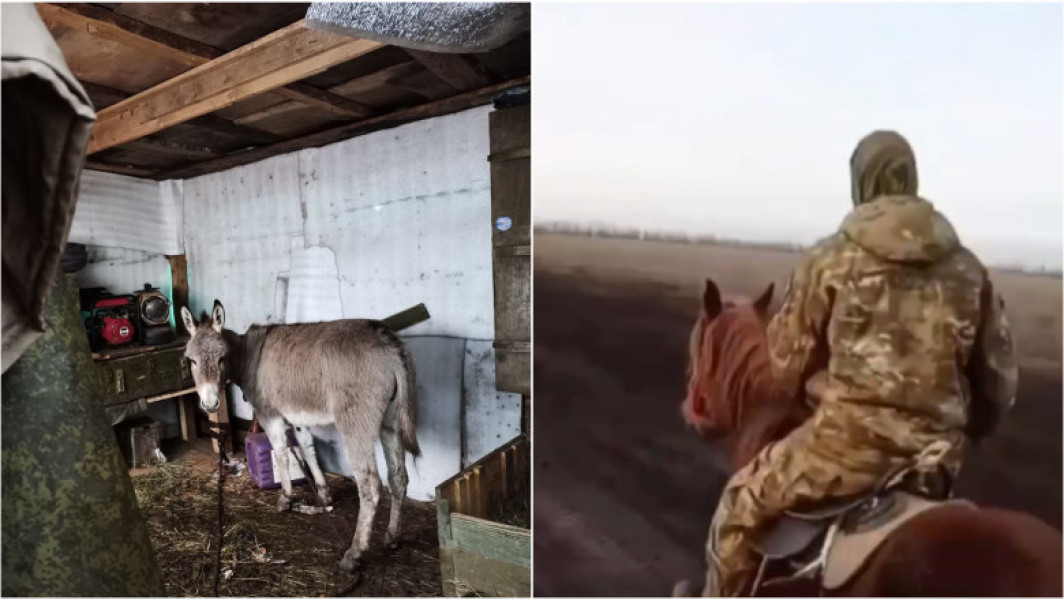 Militarii ruși din Ucraina folosesc animale pentru transportul muniției din cauza lipsei de vehicule
