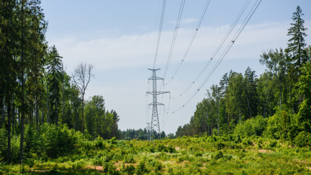 Estonia, Letonia și Lituania se deconectează de rețeaua electrică rusească