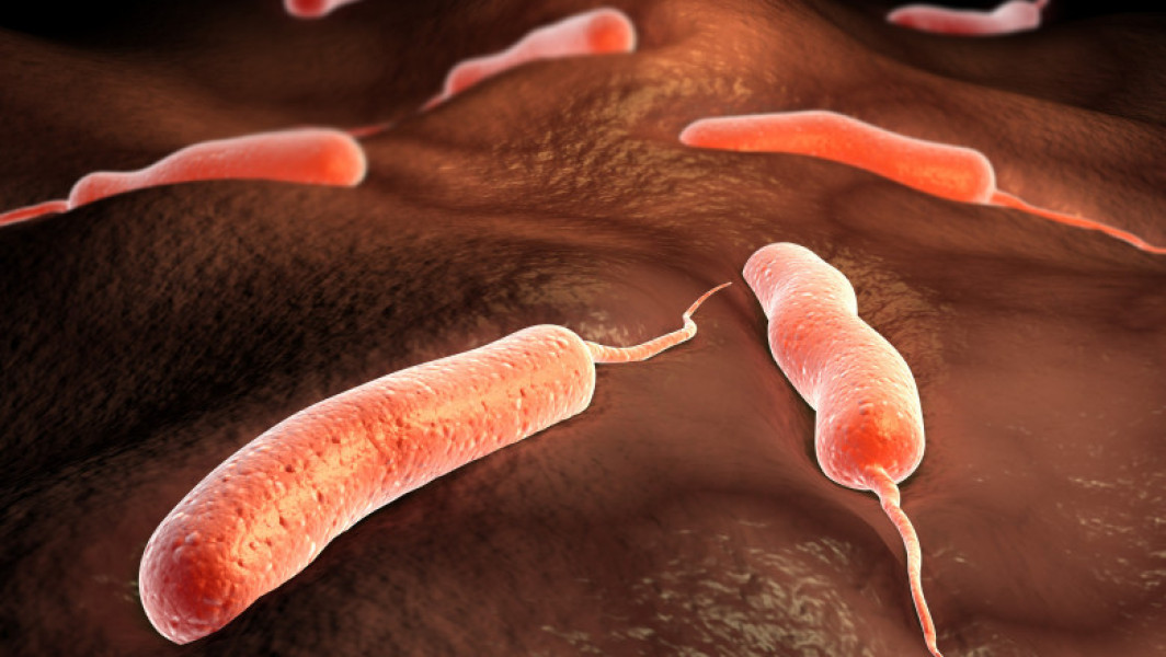 Epidemia de holeră din Angola a provocat peste 100 de decese