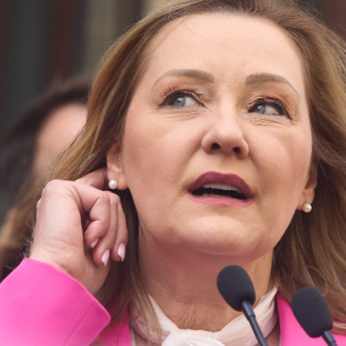 Candidatul USR Elena Lasconi își exprimă speranțele după vot