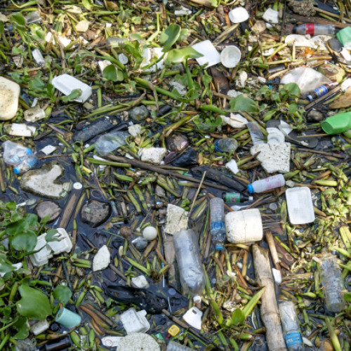 scăderea ratei de reciclare a deșeurilor în România, descoperită în urma controalelor Garzii de Mediu