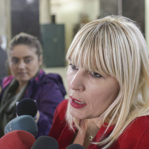 Elena Udrea și-a retras cererea de liberare condiționată în cazul în care era înregistrată la Judecătoria Ploiești