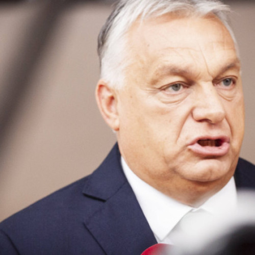 Viktor Orban vrea un sistem comun de apărare împotriva imigrației în Europa Centrală. Ce rol ar avea România
