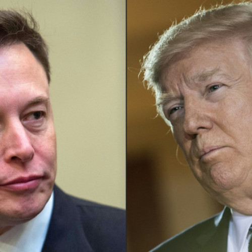 Nominalizații pentru Premiul Nobel pentru Pace: Elon Musk, Donald Trump și Julian Assange, propuși pentru apărarea drepturilor omului și promovarea păcii