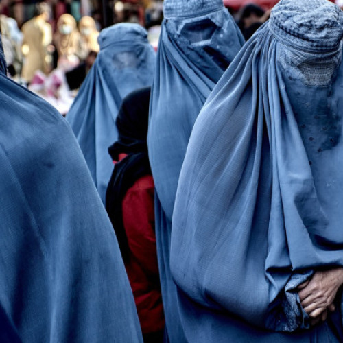 Talibanii interzic cărțile scrise de femei și 18 discipline universitare în Afganistan