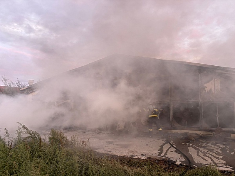 Incendiu la o hală de creștere a puilor în Medieșu Aurit fără victime