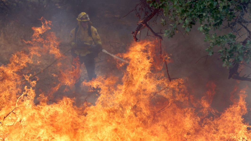 Incendiile din California amenință exemplarele milenare de sequoia gigant