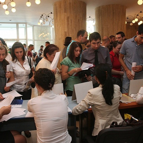 Sute de Job-uri Disponibile la Bursa Locurilor de Muncă din Satu Mare, Vineri la Casa de Cultură a Sindicatelor