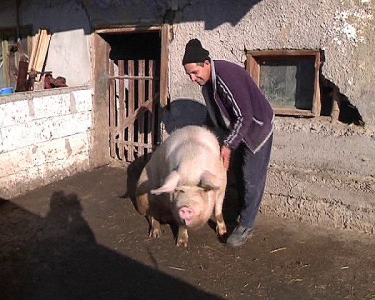 Image Description