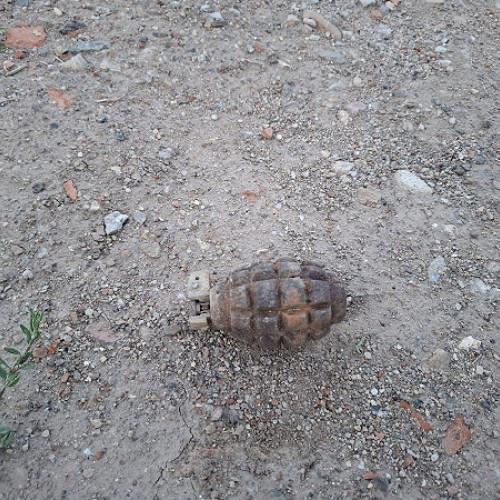 Grenadă descoperită în Satu Mare, asanată de echipajul pirotehnic